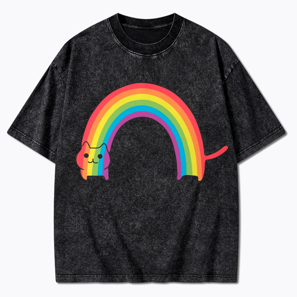 Rainbow Cat Washed T-Shirt