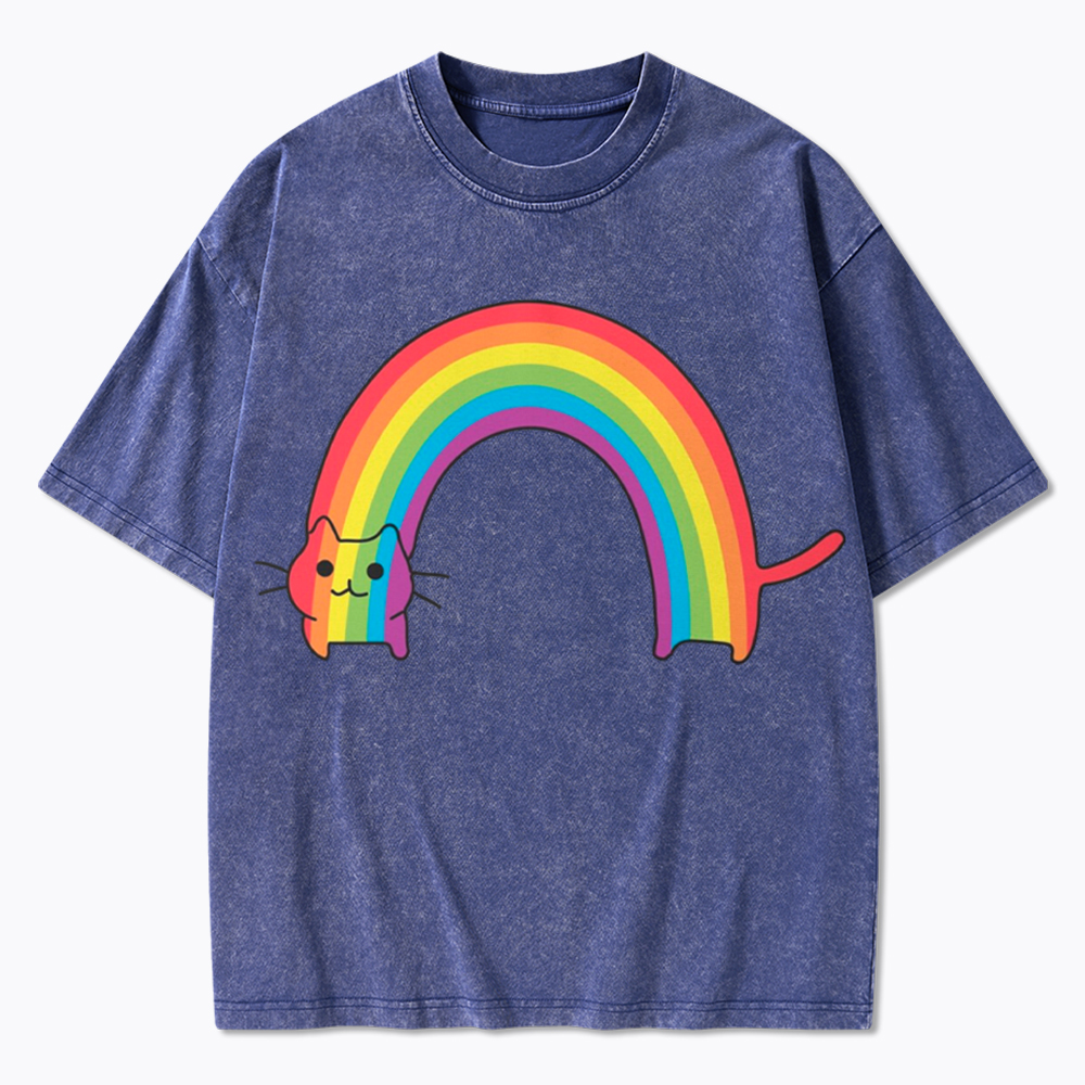 Rainbow Cat Washed T-Shirt