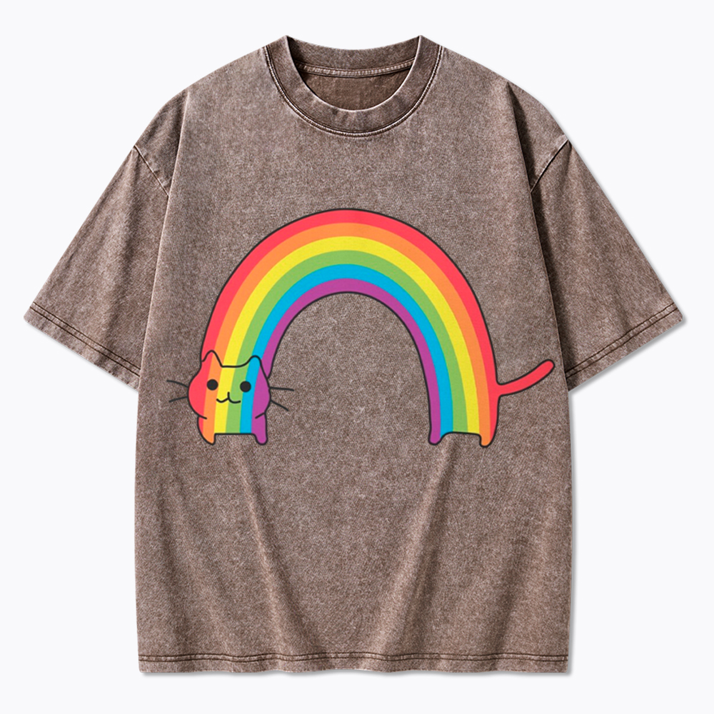 Rainbow Cat Washed T-Shirt