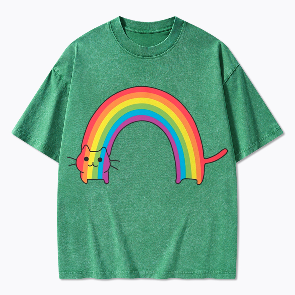Rainbow Cat Washed T-Shirt