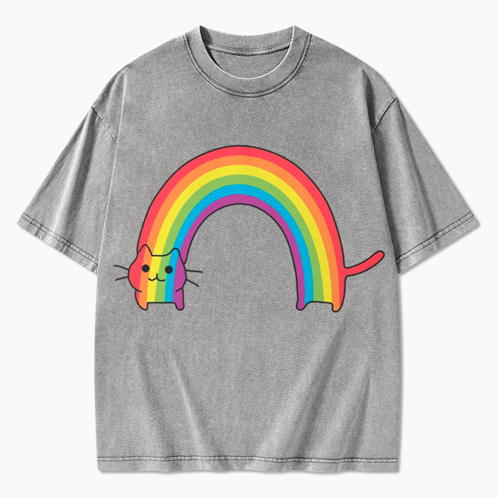 Rainbow Cat Washed T-Shirt