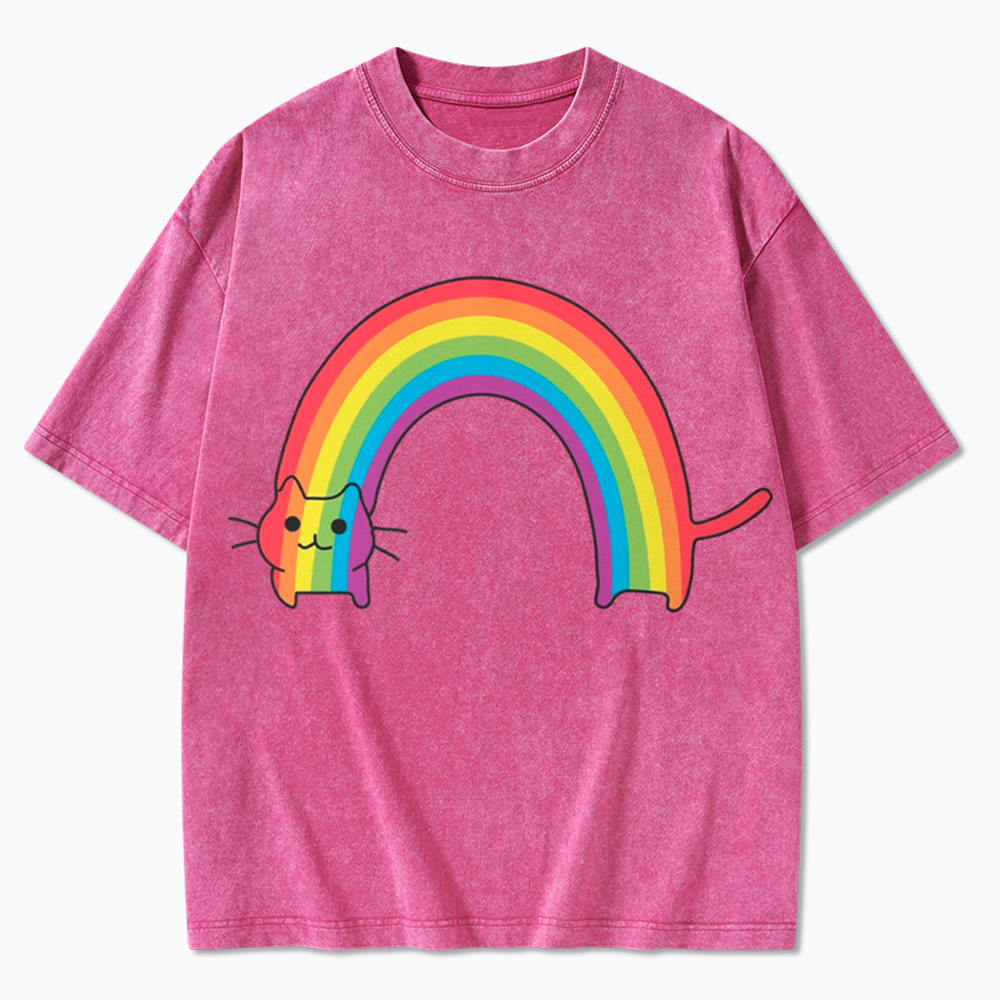 Rainbow Cat Washed T-Shirt
