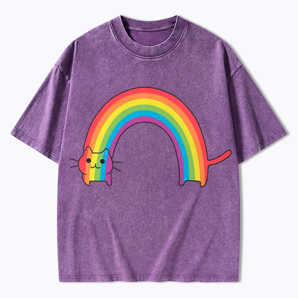Rainbow Cat Washed T-Shirt