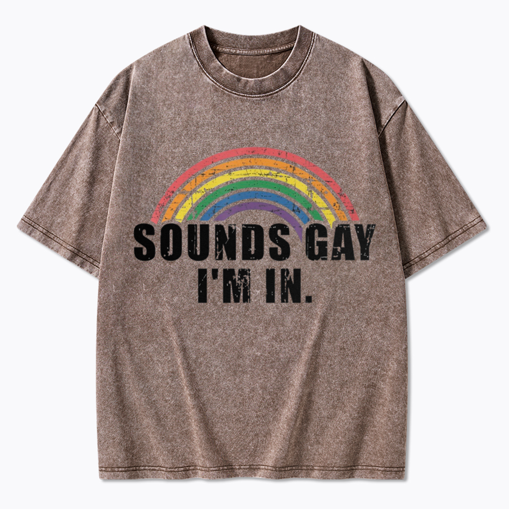 Sounds Gay I'm in Washed T-Shirt