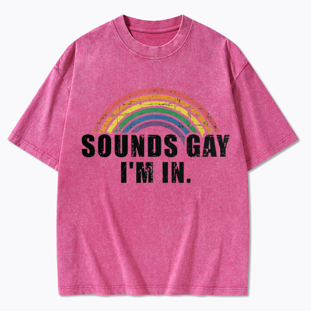 Sounds Gay I'm in Washed T-Shirt