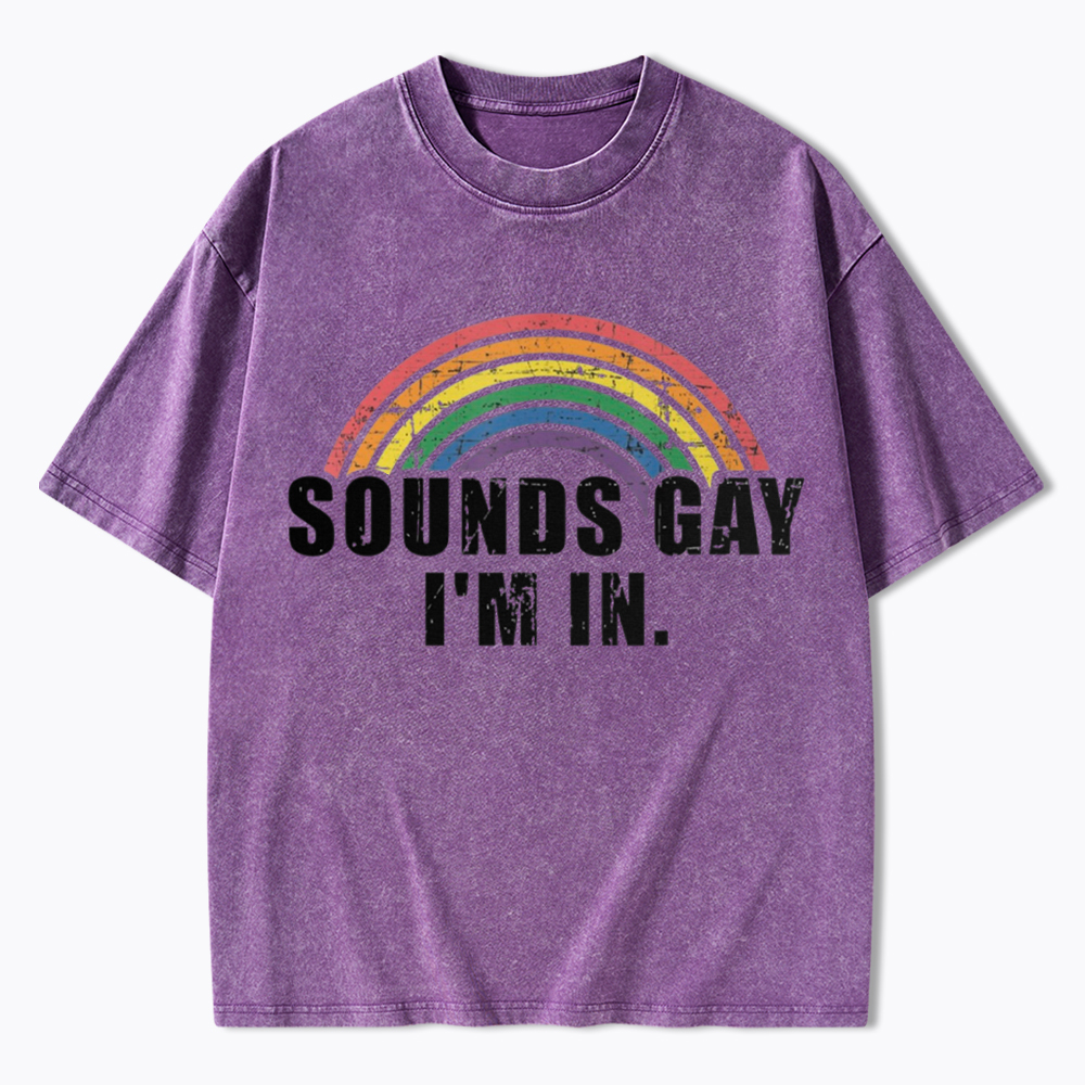 Sounds Gay I'm in Washed T-Shirt