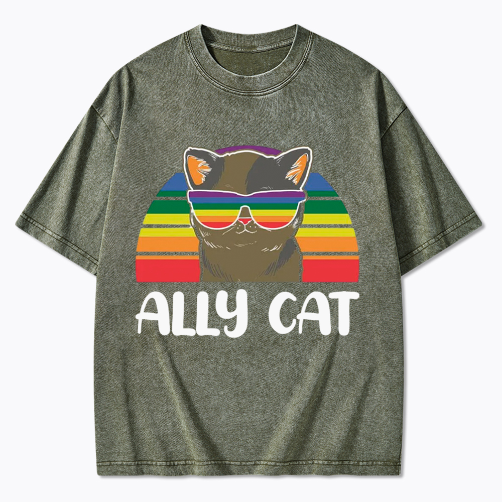 Ally Cat Washed T-Shirt