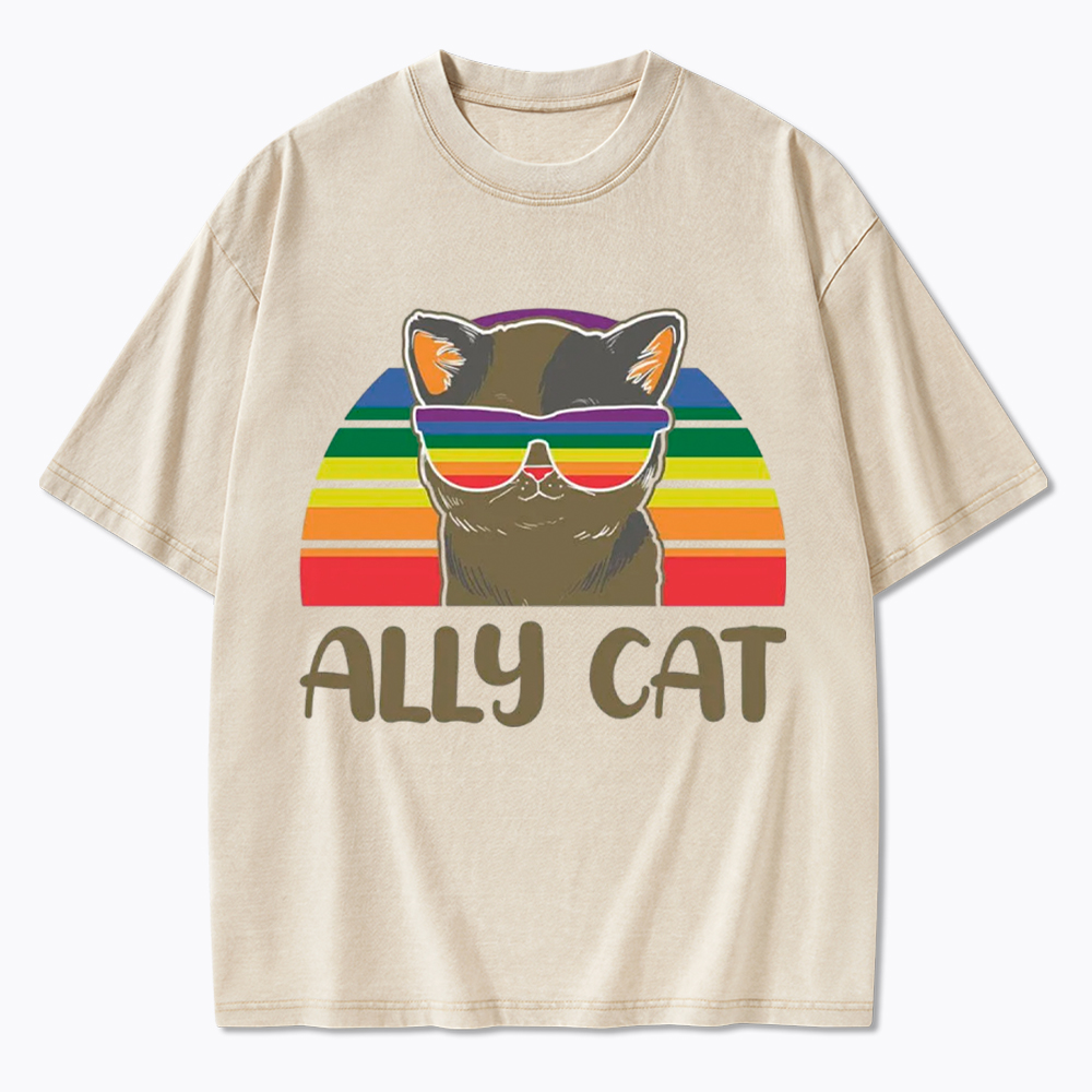 Ally Cat Washed T-Shirt