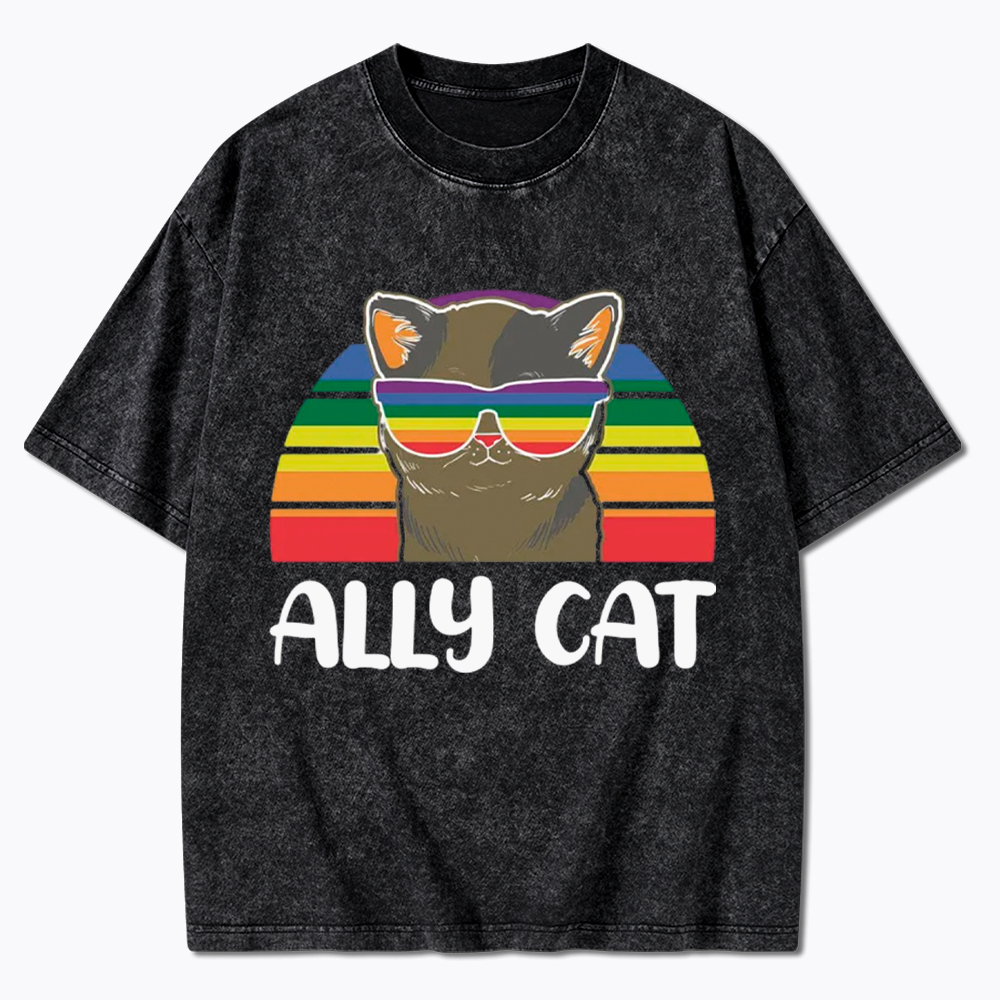 Ally Cat Washed T-Shirt