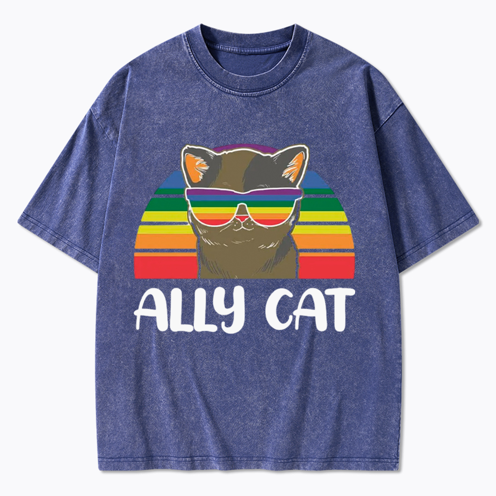 Ally Cat Washed T-Shirt