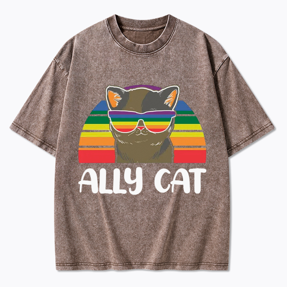 Ally Cat Washed T-Shirt