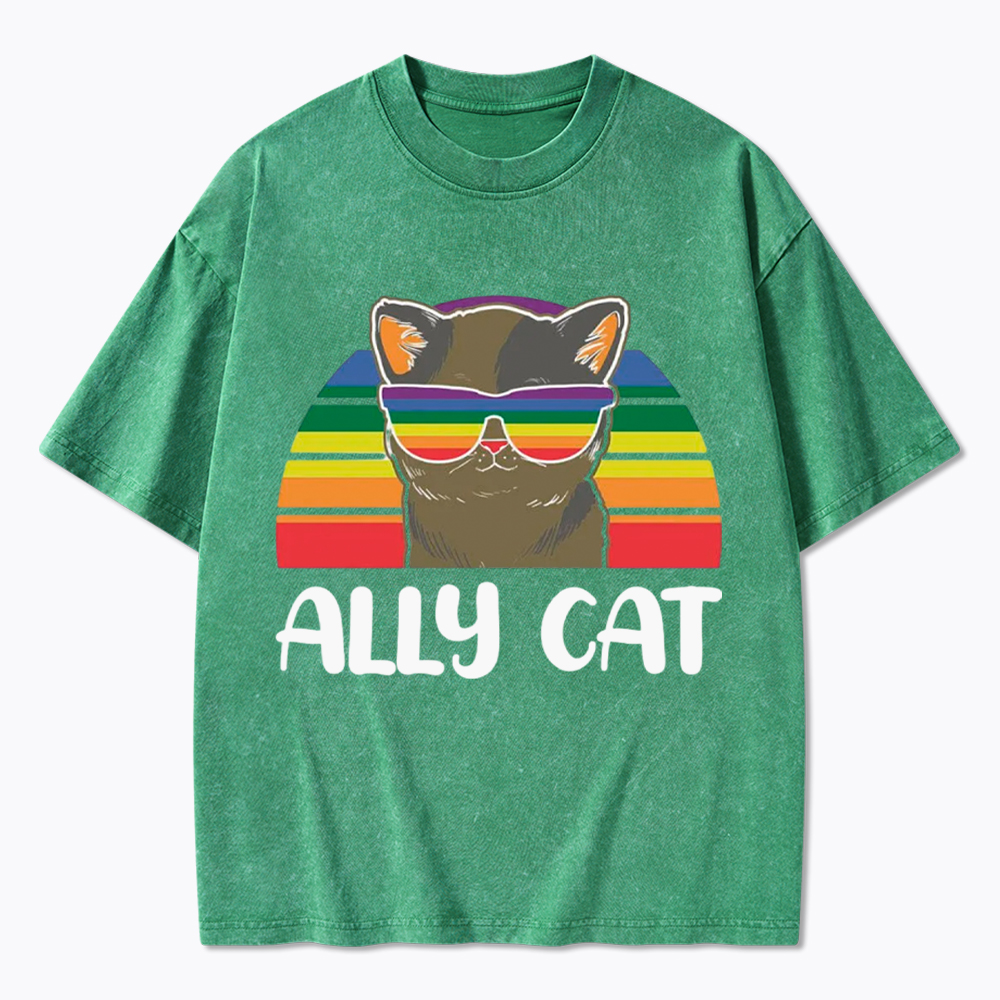 Ally Cat Washed T-Shirt