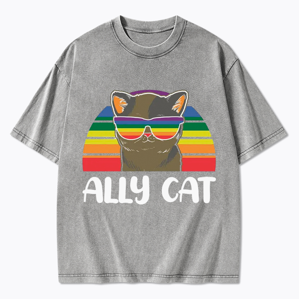 Ally Cat Washed T-Shirt