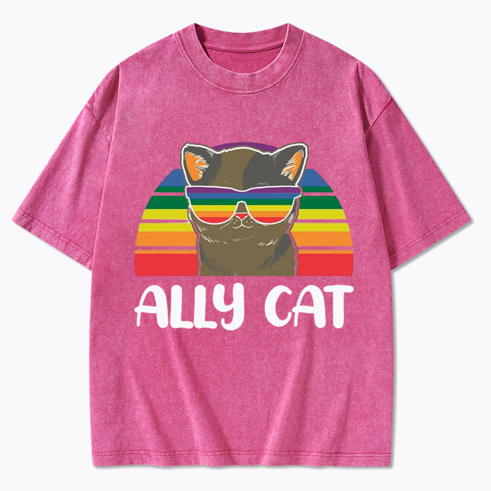 Ally Cat Washed T-Shirt