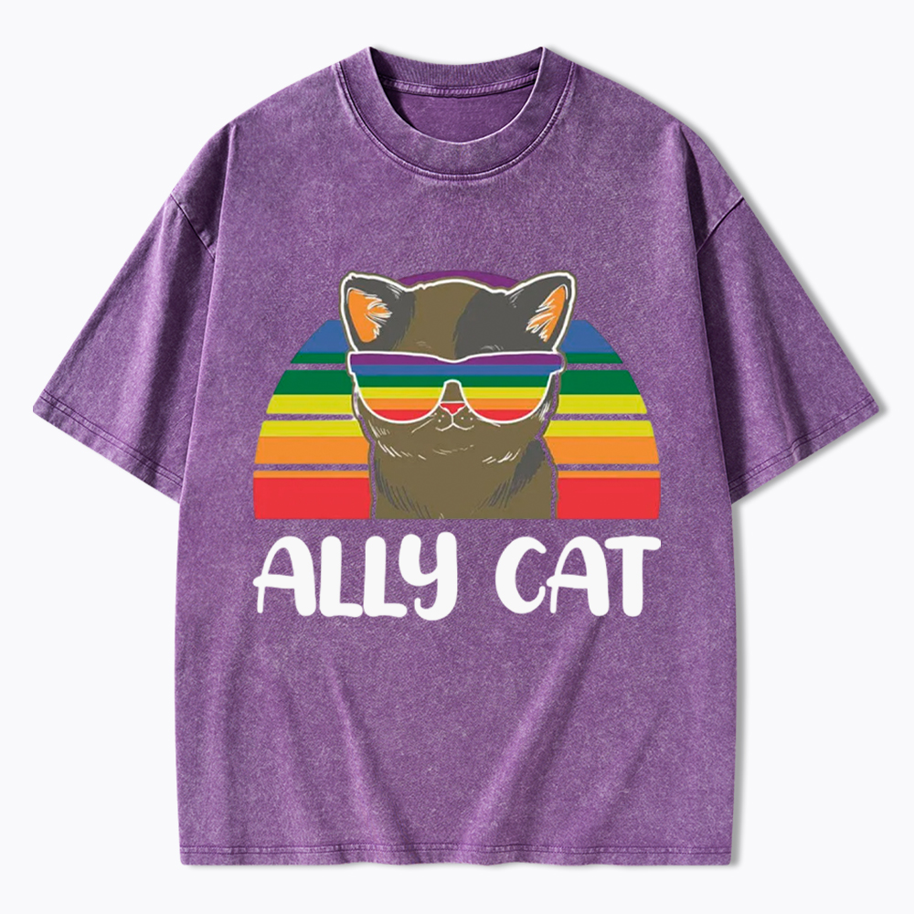 Ally Cat Washed T-Shirt