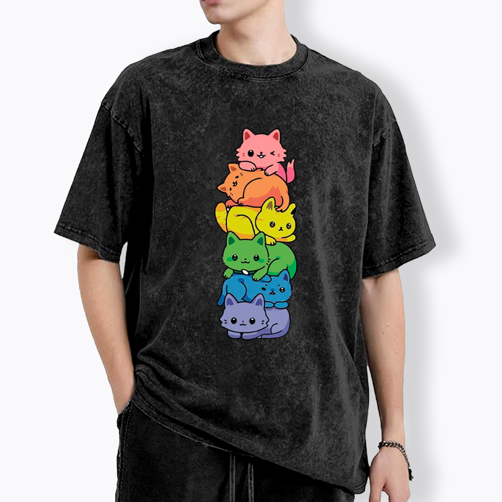 Rainbow Kitten Washed T-Shirt