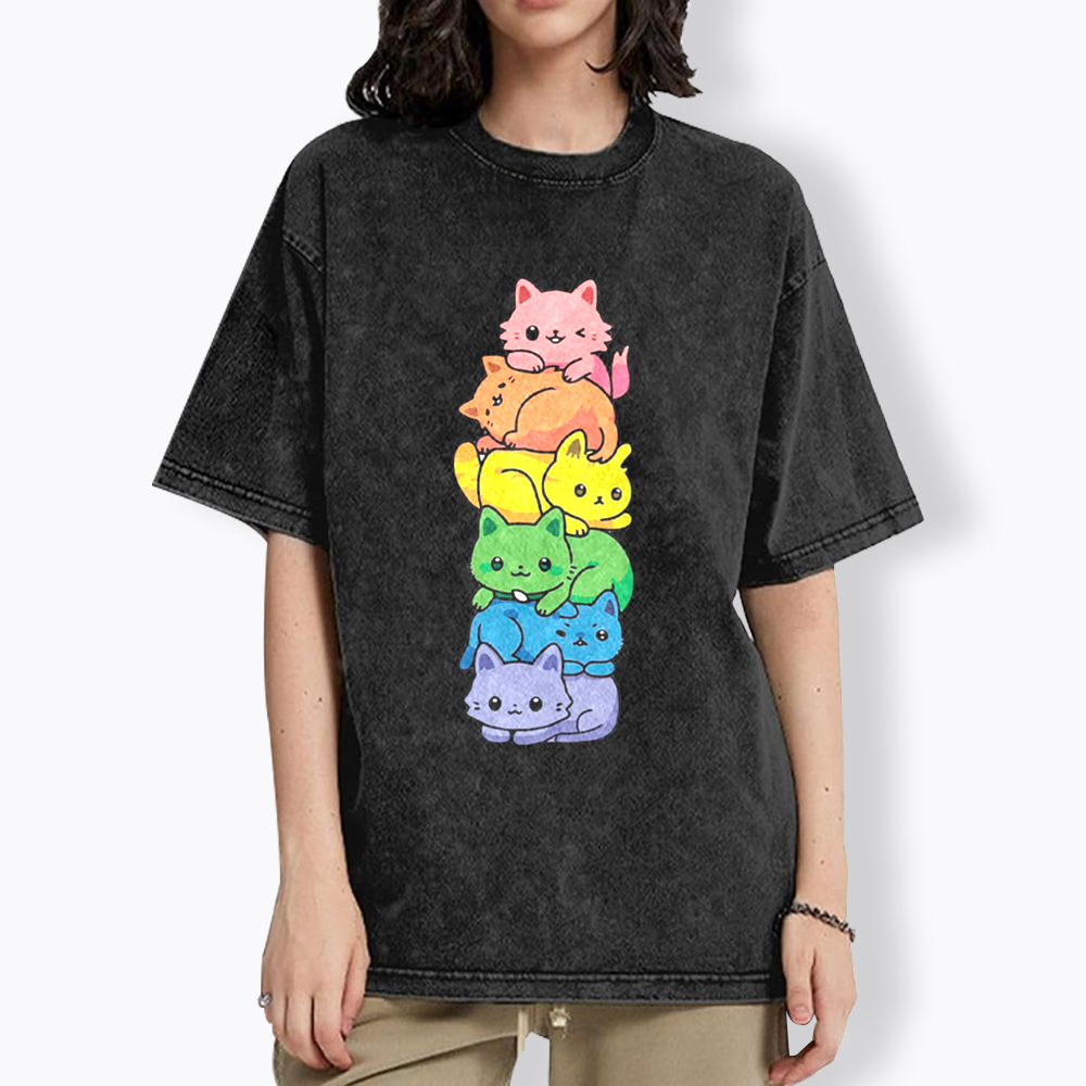 Rainbow Kitten Washed T-Shirt