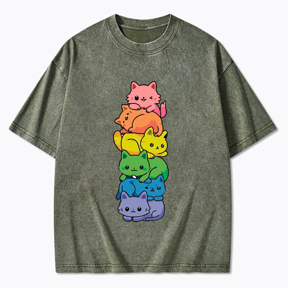 Rainbow Kitten Washed T-Shirt