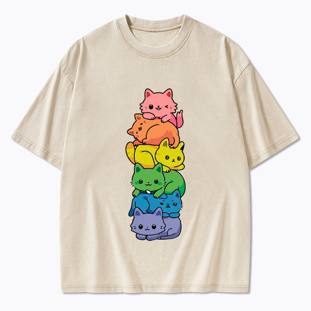 Rainbow Kitten Washed T-Shirt