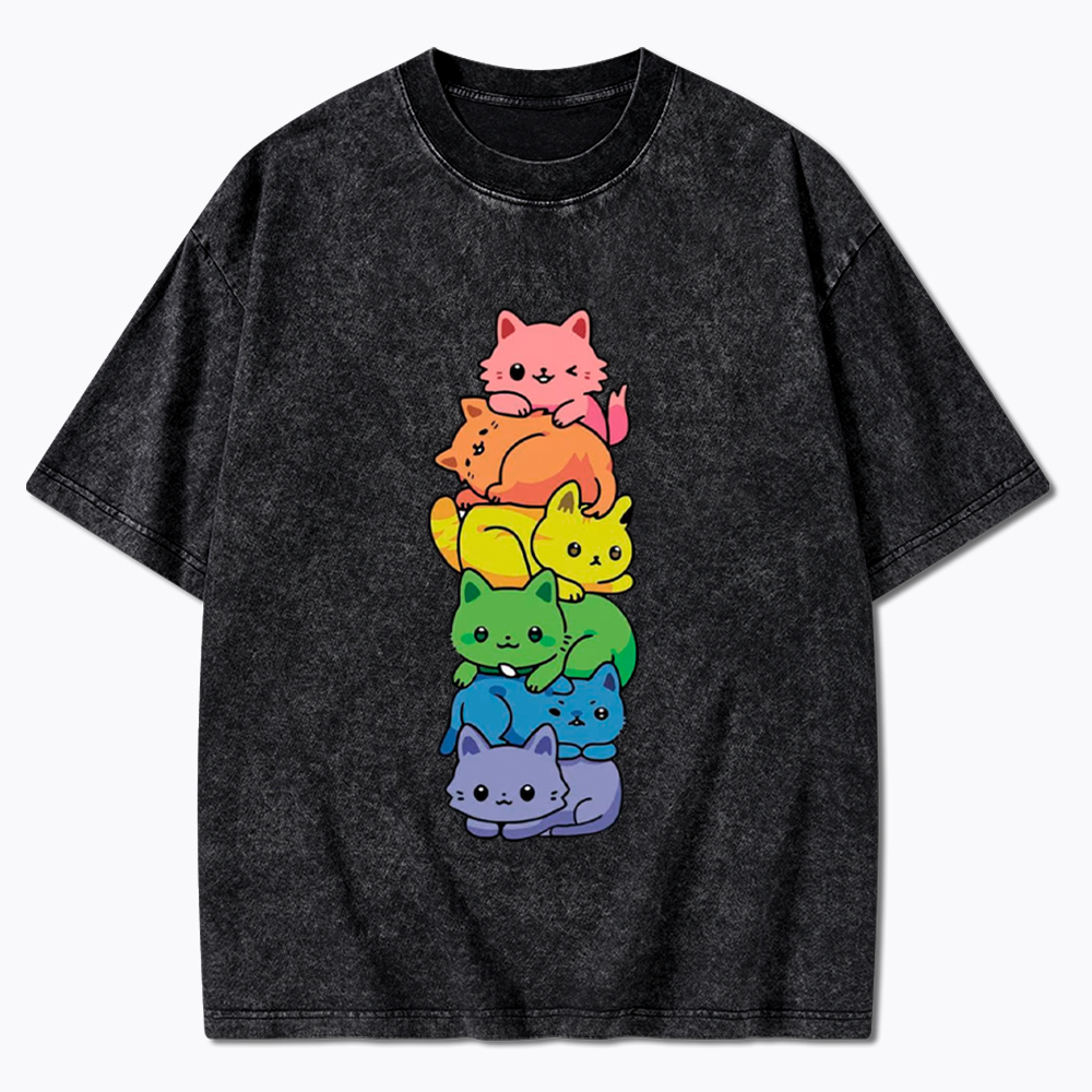 Rainbow Kitten Washed T-Shirt