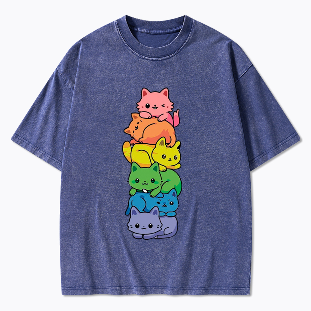 Rainbow Kitten Washed T-Shirt