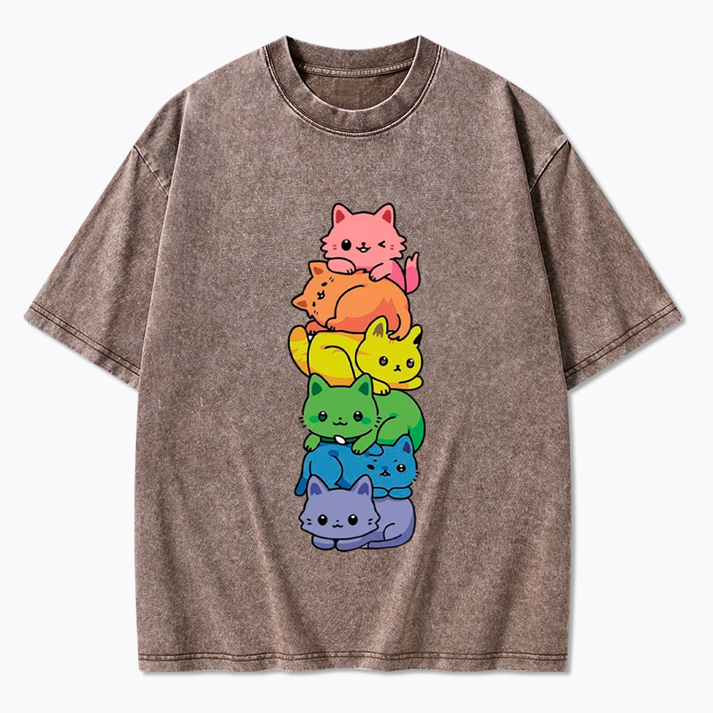 Rainbow Kitten Washed T-Shirt