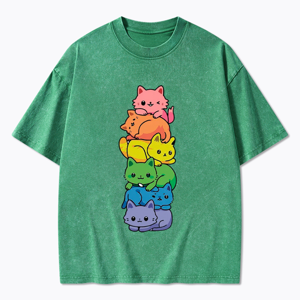 Rainbow Kitten Washed T-Shirt