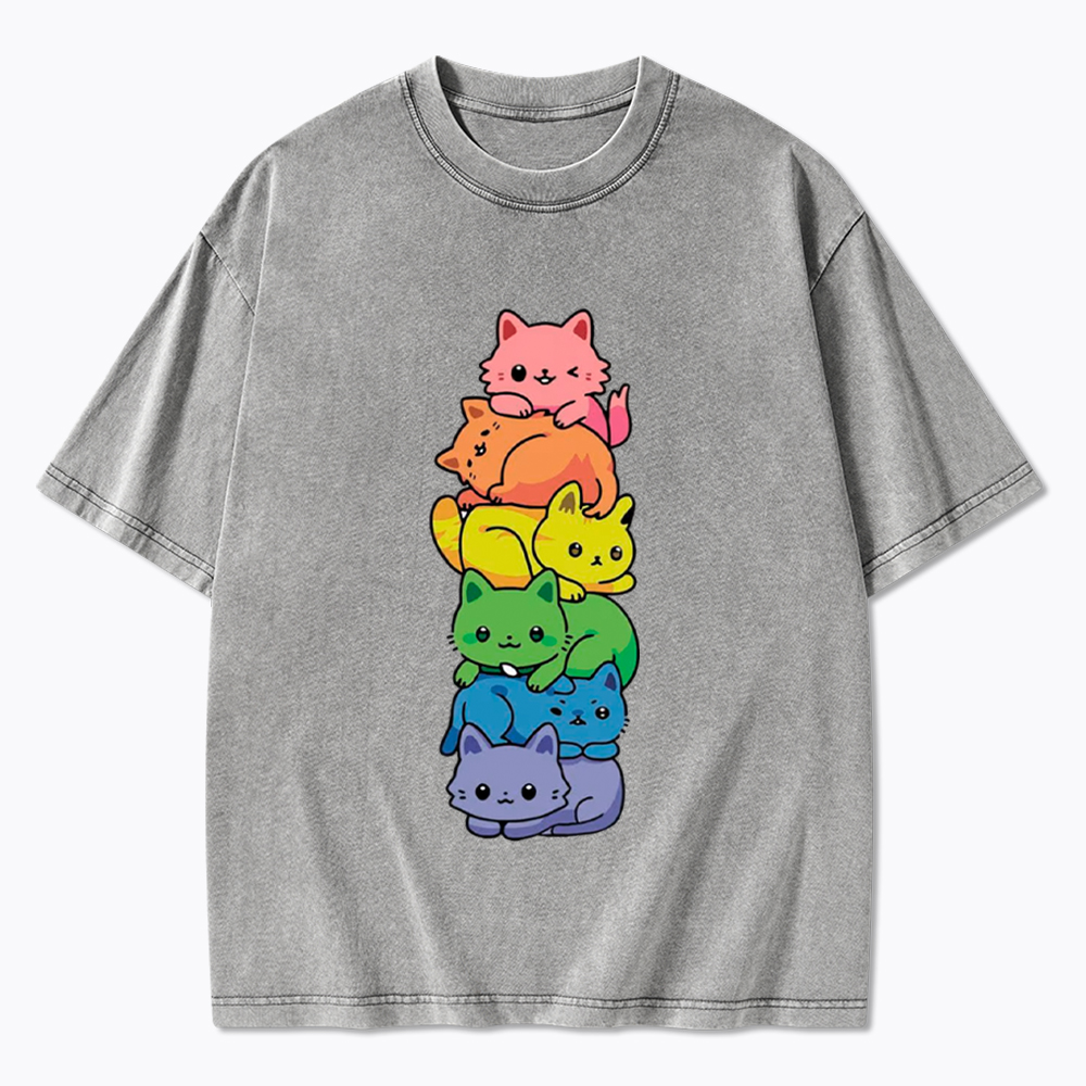 Rainbow Kitten Washed T-Shirt