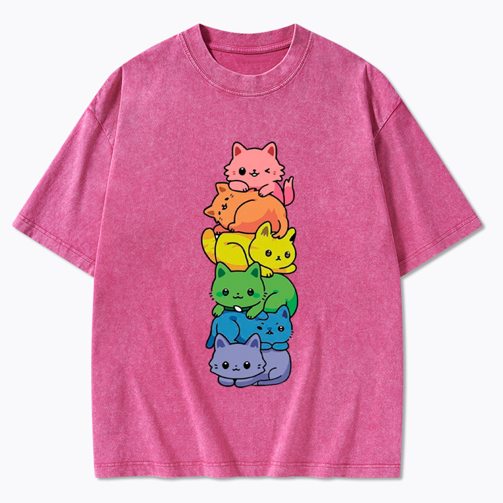 Rainbow Kitten Washed T-Shirt