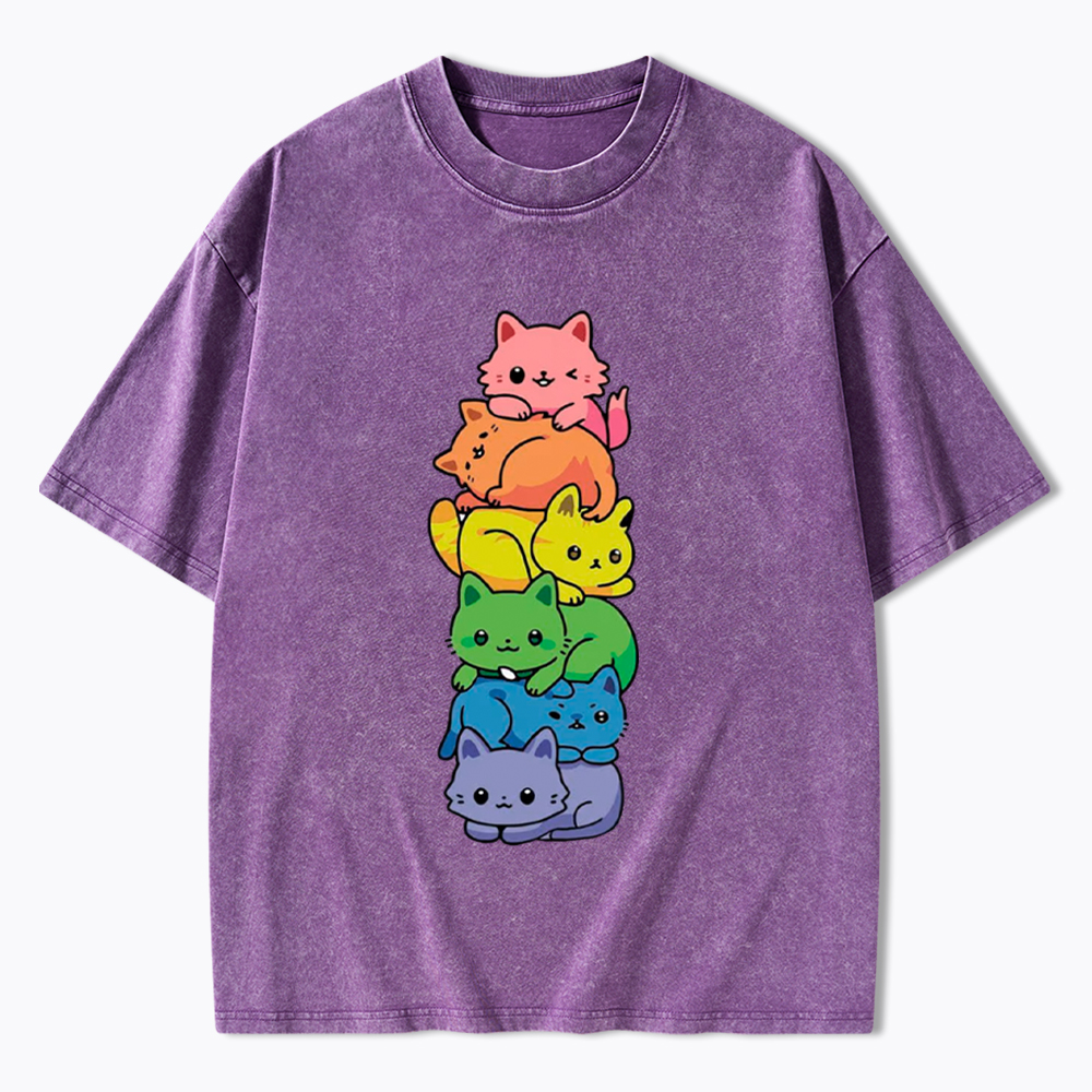 Rainbow Kitten Washed T-Shirt