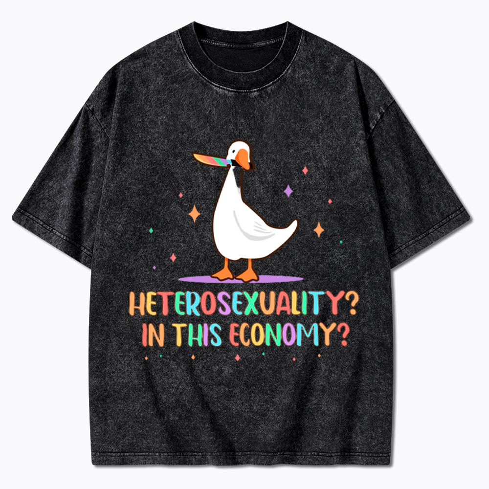 Heterosexuality In This Economy Washed T-Shirt
