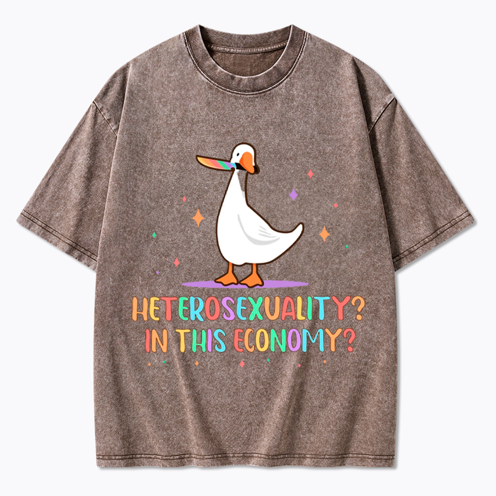 Heterosexuality In This Economy Washed T-Shirt