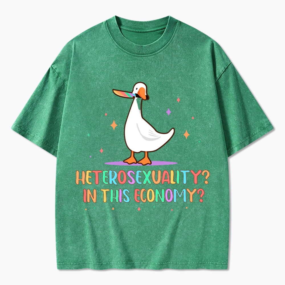 Heterosexuality In This Economy Washed T-Shirt
