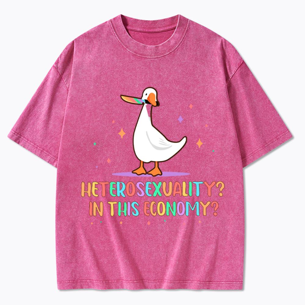 Heterosexuality In This Economy Washed T-Shirt