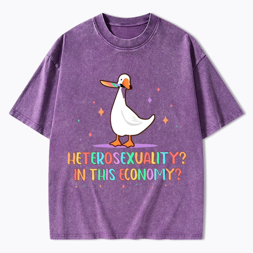 Heterosexuality In This Economy Washed T-Shirt