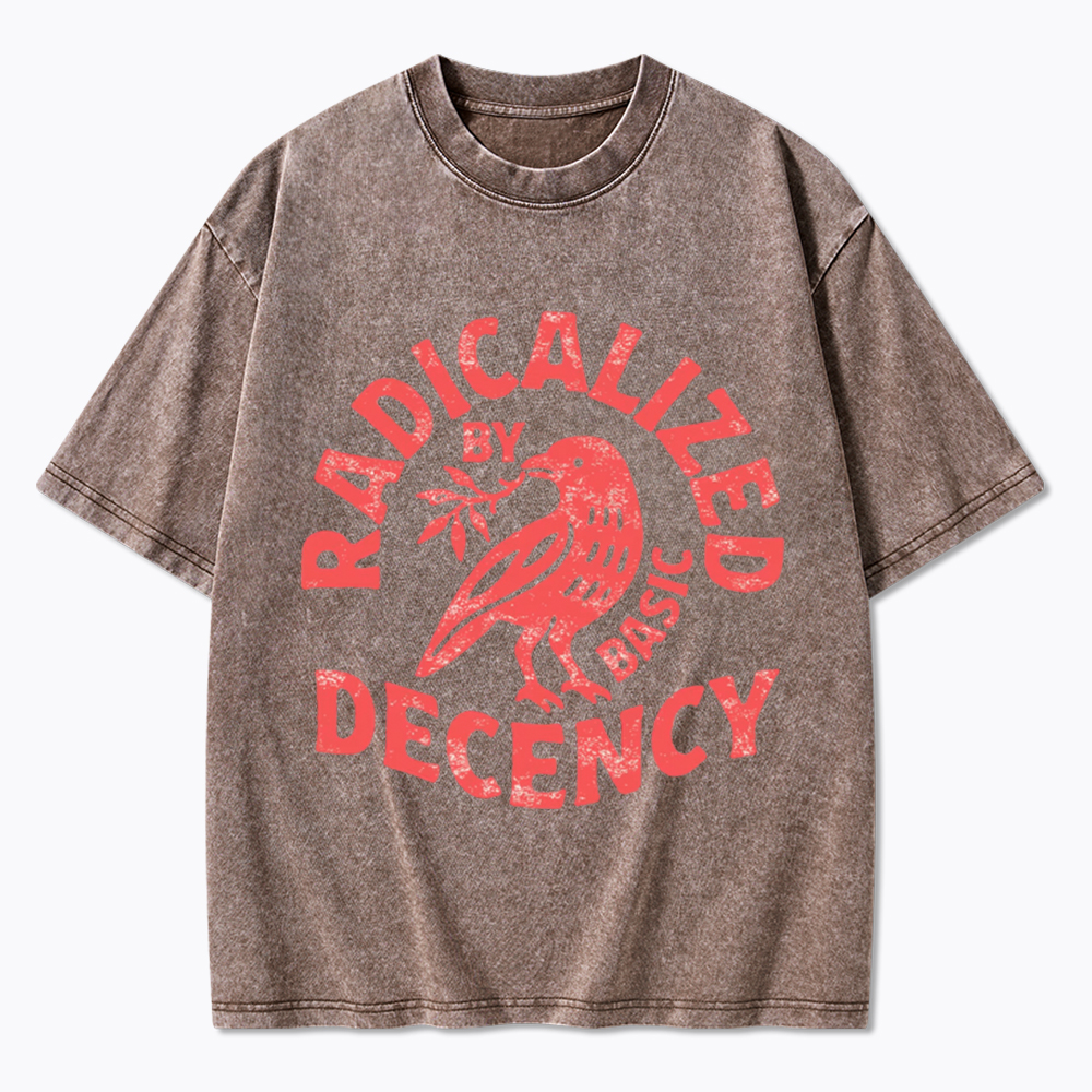 Radicalized By Basic Decency Washed T-Shirt