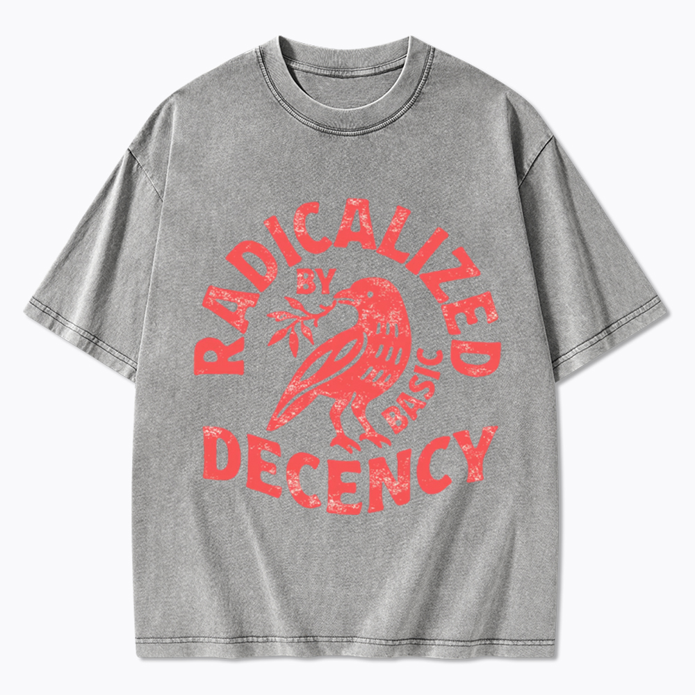 Radicalized By Basic Decency Washed T-Shirt
