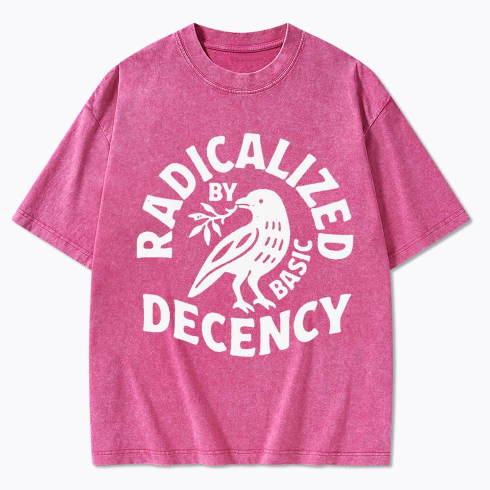 Radicalized By Basic Decency Washed T-Shirt