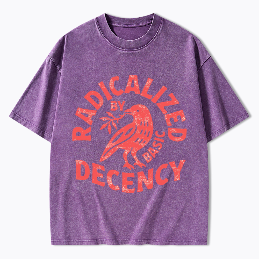 Radicalized By Basic Decency Washed T-Shirt