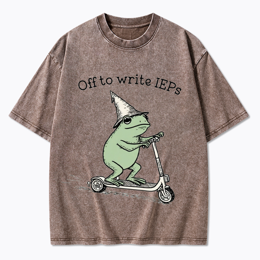School Psychologist Special Education Washed T-Shirt