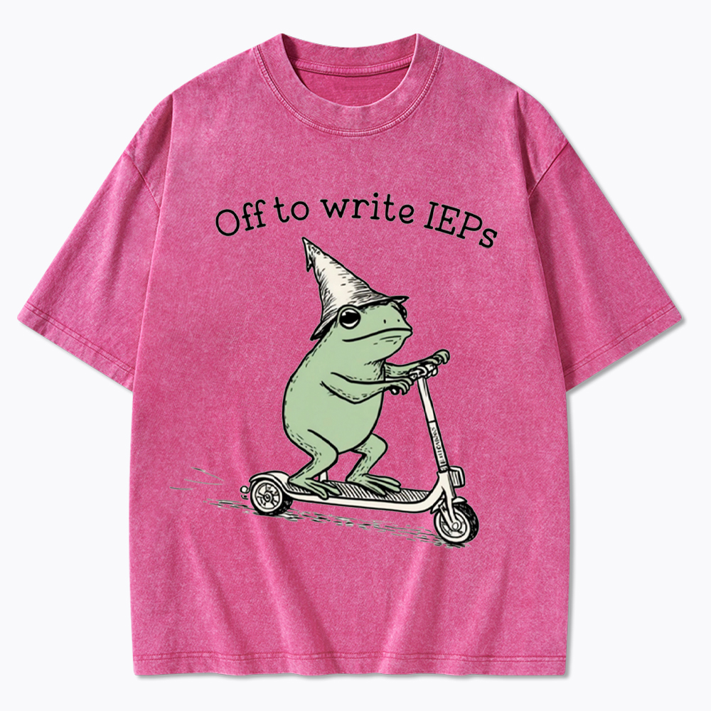School Psychologist Special Education Washed T-Shirt