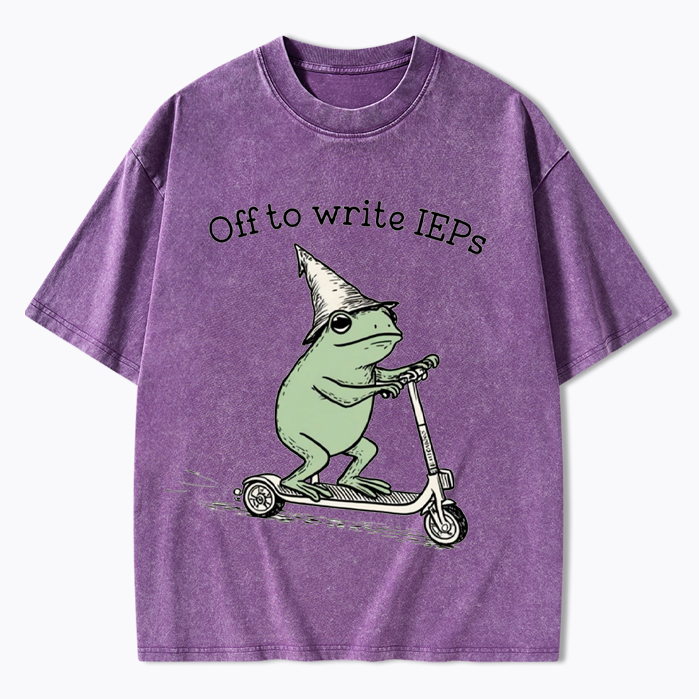 School Psychologist Special Education Washed T-Shirt
