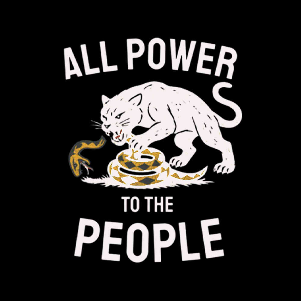 Power to the People Black Panther Party Washed T-Shirts