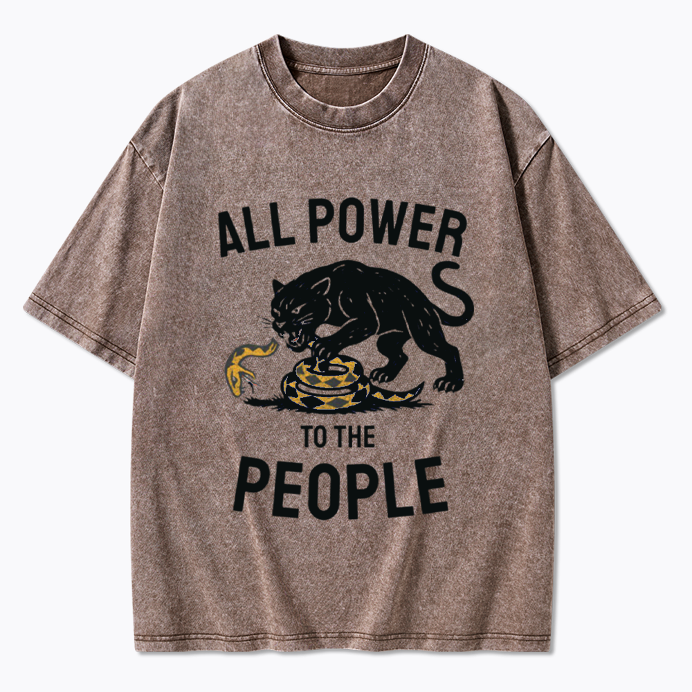 Power to the People Black Panther Party Washed T-Shirts