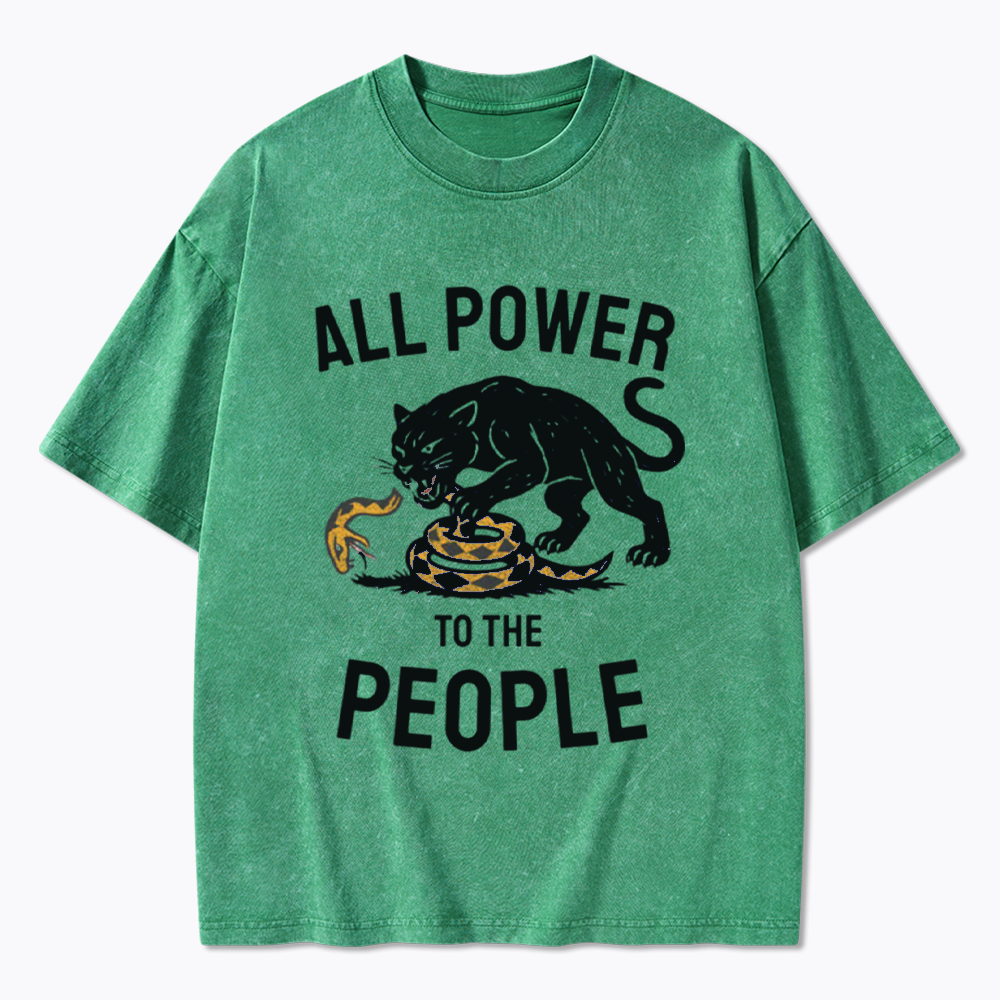 Power to the People Black Panther Party Washed T-Shirts