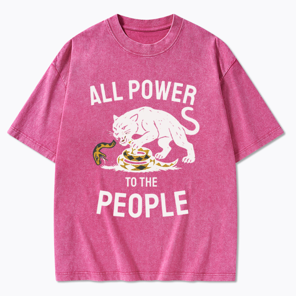 Power to the People Black Panther Party Washed T-Shirts
