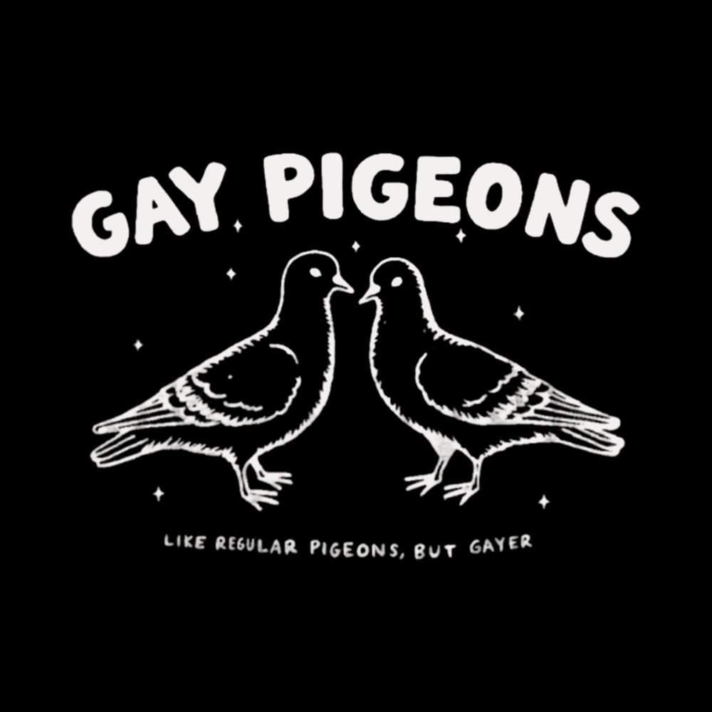 Gay Pigeons Washed T-Shirts