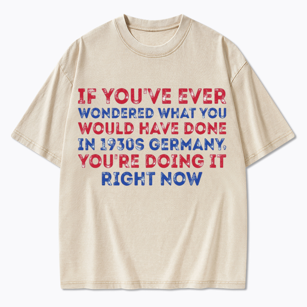 1930s Germany If You Wondered Statement Washed T-Shirt