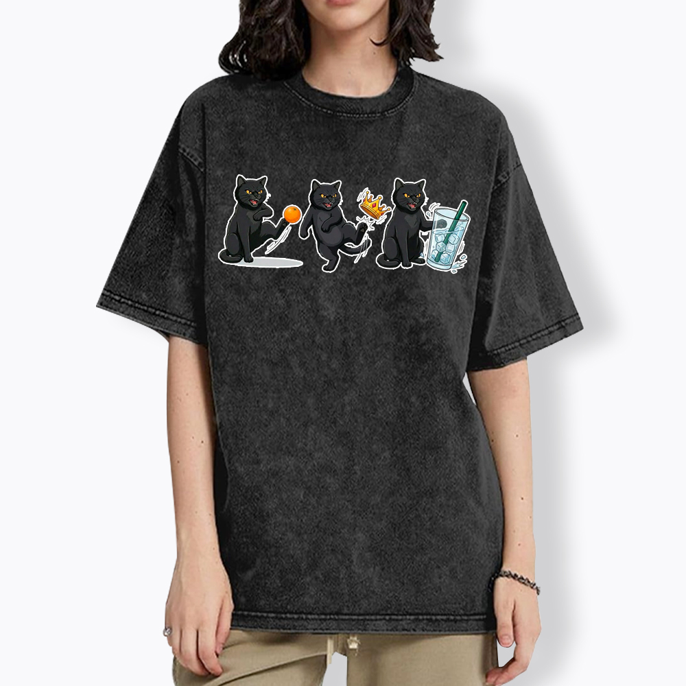 NOPE No Kings Cat Washed T-Shirt