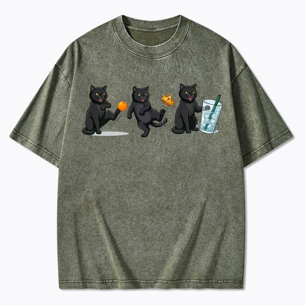 NOPE No Kings Cat Washed T-Shirt
